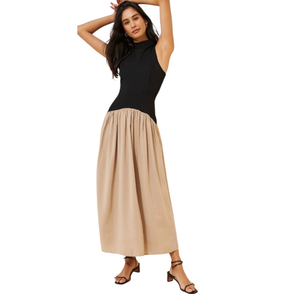 Maeve Anthropologie Mariana Drop Waist Maxi Dress Black Tan Quiet Luxury Large